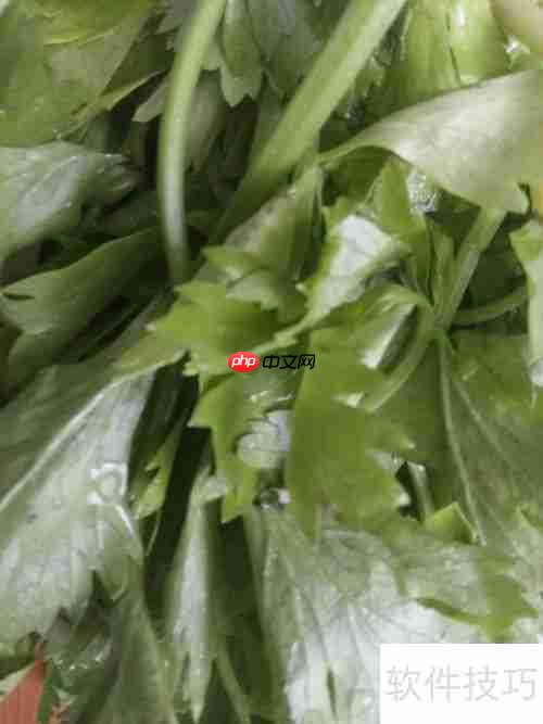 健美食谱:芹菜炒鸭肉的做法
