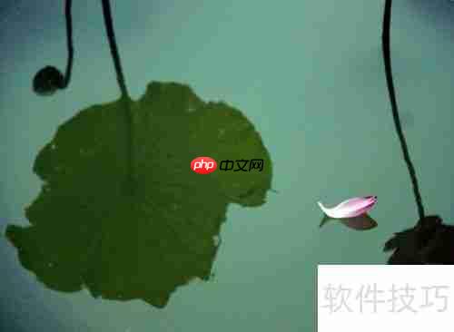 四五十岁如何做最好的自己?掌握这几点,活出精彩人生!