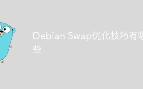 Debian Swap优化技巧有哪些