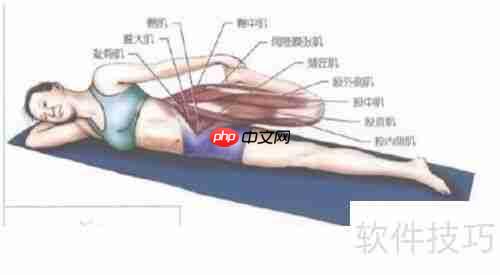 改善健美腰:针对性训练与调整方法