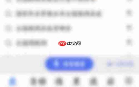全国联网查询系统：如何进行查询操作