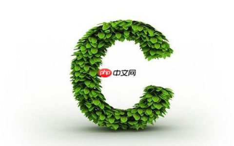 C++的auto关键字怎么用？能推导什么？