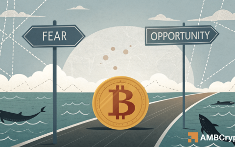 比特币[BTC]短期持有人目前显示出独特的入口区
