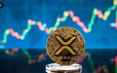 XRP价格预测：向上势头会继续吗？