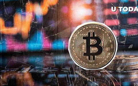 比特币短裤以BTC价格上涨240％。