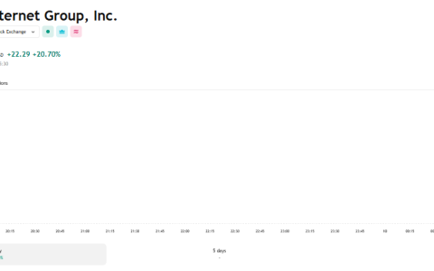Circle Internet Group（CRCL）股票在壮观的纽约证券交易所首次亮相超过20％