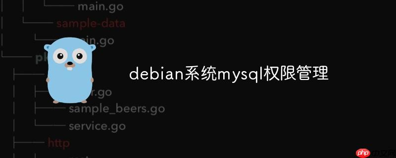 debian系统mysql权限管理