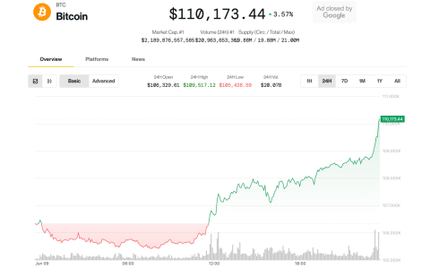 比特币是最大的加密货币，高价3.7％高至110000美元