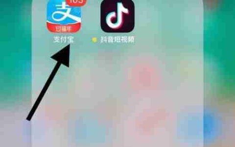 重庆居民健康码申领指南