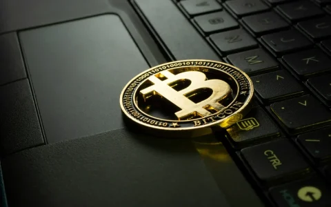 一致的Coinbase Premium Signals强烈的比特币需求较高，超过$ 100,000