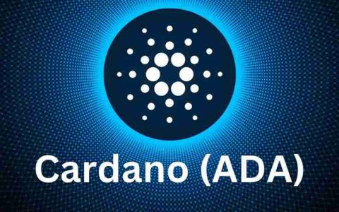 2025年6月ADA币技术面、基本面分析及价格预测