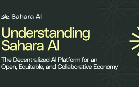 Sahara AI是什么？去中心化AI区块链平台 完整指南