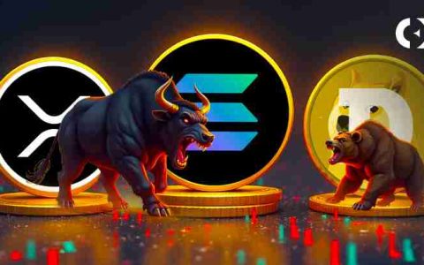Altcoin市场正在发送复杂而不和谐的信息