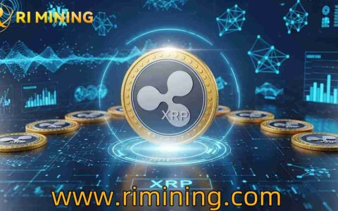 作为Ripple网络的核心令牌，XRP迅速成为全球跨境支付的桥梁货币。