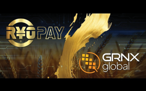 Ryo Project推出了Ryopay，该项目旨在在其全面的Web3生态系统中使用
