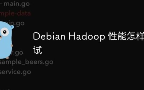Debian Hadoop 性能怎样测试