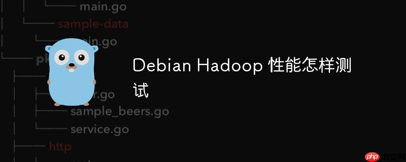 debian hadoop 性能怎样测试
