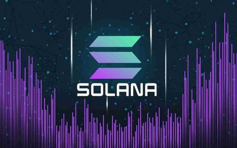 公理在solana dexs上成为主要的费用发生器