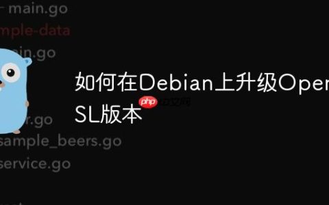 如何在Debian上升级OpenSSL版本