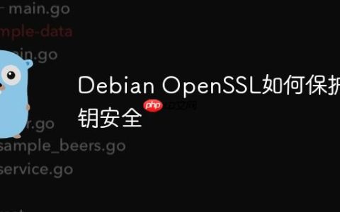 Debian OpenSSL如何保护私钥安全