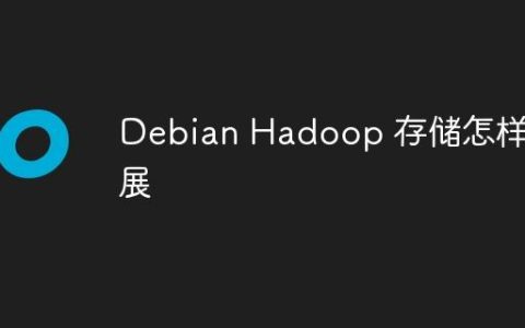 Debian Hadoop 存储怎样扩展