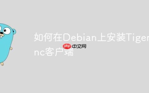 如何在Debian上安装Tigervnc客户端