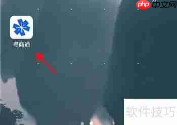 粤商通APP:小微企业数据库信息查询指南
