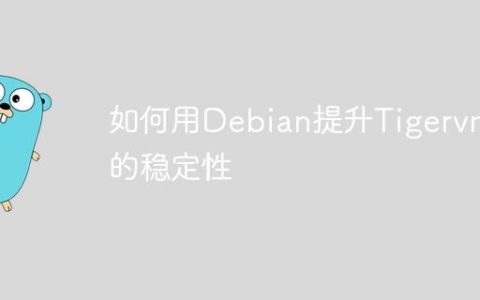 如何用Debian提升Tigervnc的稳定性