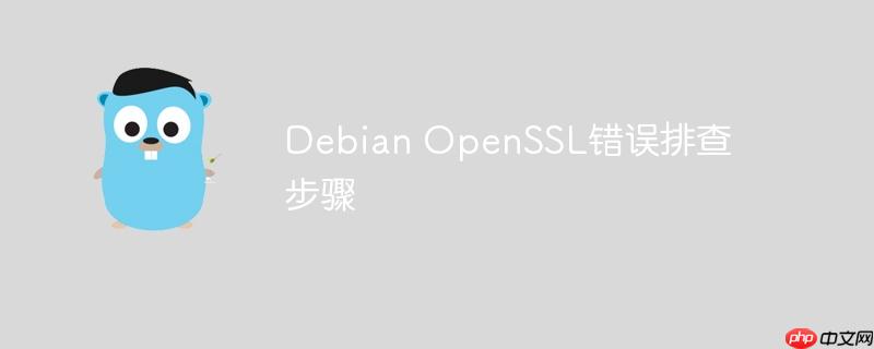 debian openssl错误排查步骤