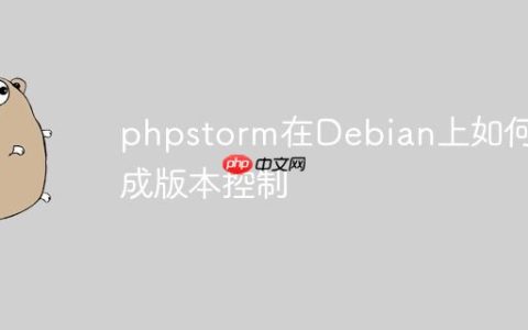 phpstorm在Debian上如何集成版本控制