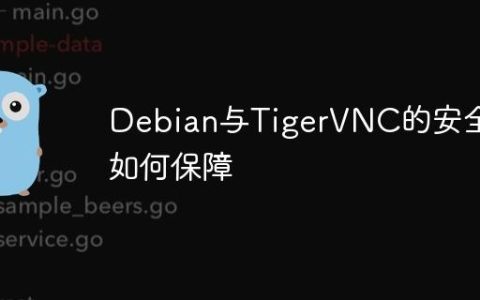 Debian与TigerVNC的安全性如何保障