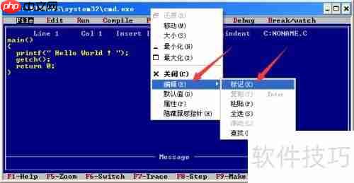 Turbo C 2.01完美教程:从入门到精通
