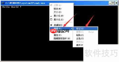 Turbo C 2.01完美教程:从入门到精通