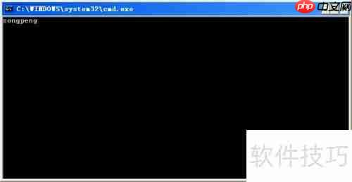 Turbo C 2.01完美教程:从入门到精通