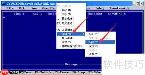 Turbo C 2.01完美教程:从入门到精通