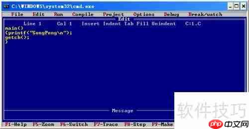 Turbo C 2.01完美教程:从入门到精通