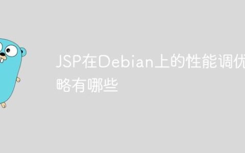 JSP在Debian上的性能调优策略有哪些