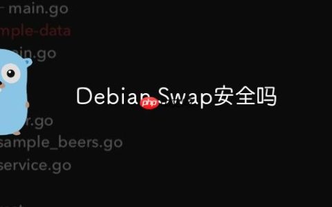 Debian Swap安全吗
