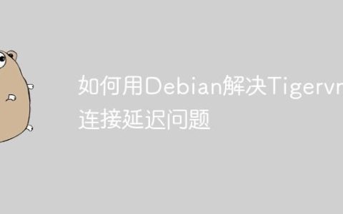 如何用Debian解决Tigervnc连接延迟问题