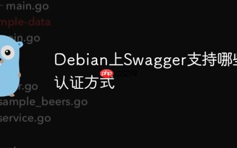 Debian上Swagger支持哪些认证方式