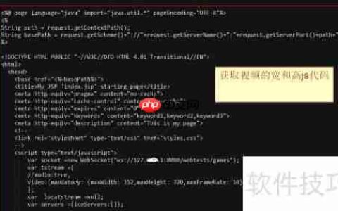 Java视频会议系统开发指南