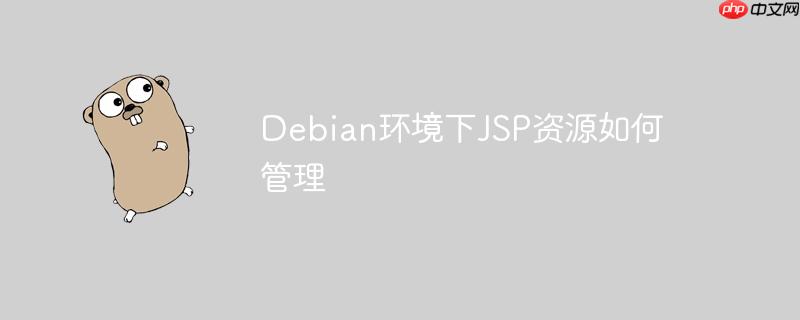 debian环境下jsp资源如何管理