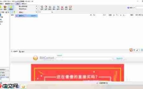 比特彗星如何启用远程下载-比特彗星启用远程下载的方法