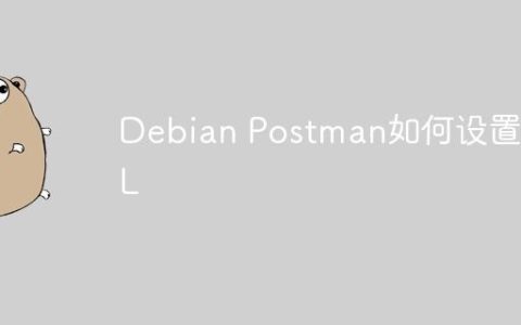 Debian Postman如何设置SSL