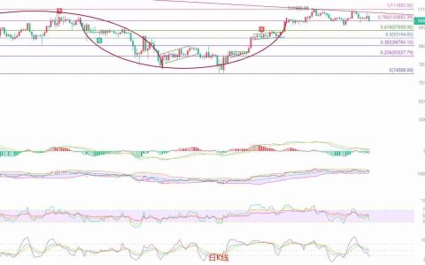 币圈院士：BTC短线回调风险加剧，关注关键支撑位