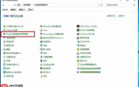 win10 64位Realtek HD Audio音频驱动怎么设置-64位音频驱动设置方法