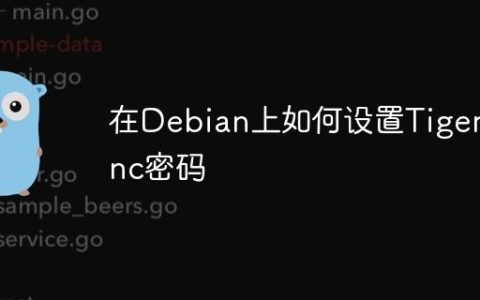在Debian上如何设置Tigervnc密码