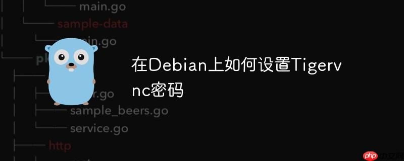 在debian上如何设置tigervnc密码