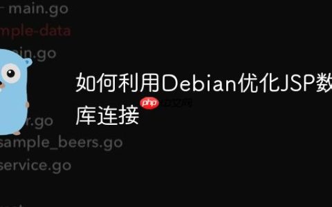 如何利用Debian优化JSP数据库连接