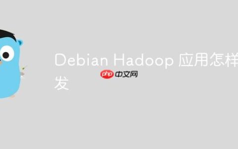 Debian Hadoop 应用怎样开发